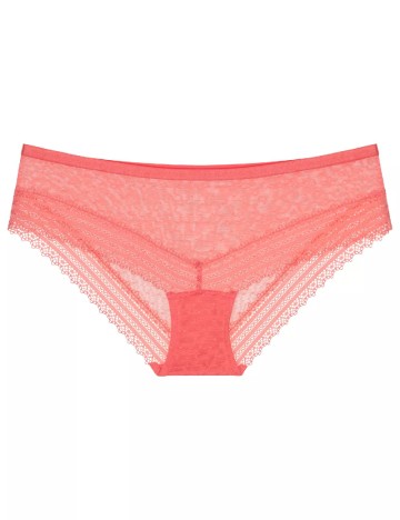 Chilot Triumph, roz