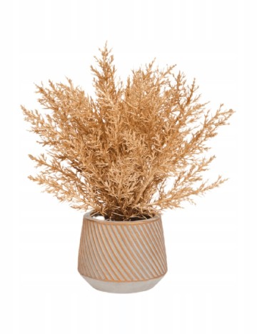 Accesoriu decorativ, auriu